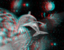 Dolphins In Space