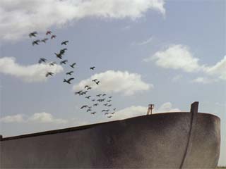 birds fly