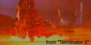 Terminating the Terminator