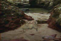 click here to Beam Up